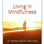 Living in Mindfulness eBook Amazon Kindle by Bindu Dadlani